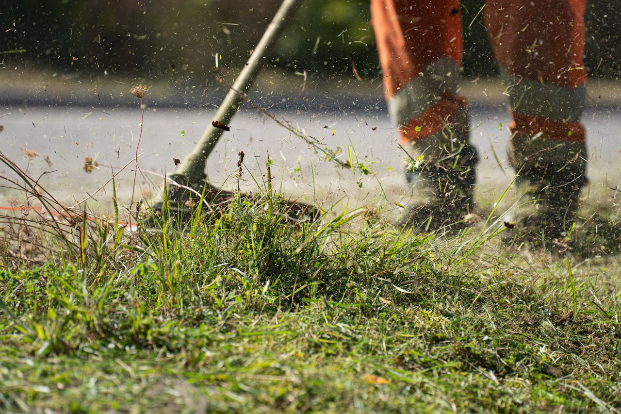 gallery-6 Close-up of a grass cutter trimming green grass with flying clippings outdoors.